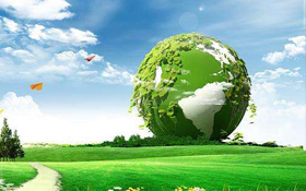 Analyze the environmentally friendly materials of the cards